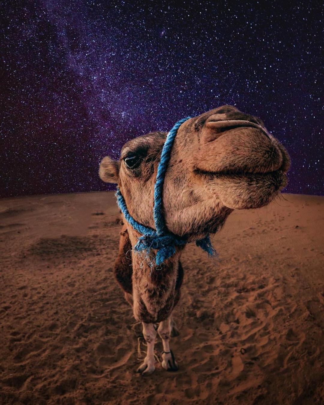 Merzouga Luxury Magic Nights Eksteriør bilde